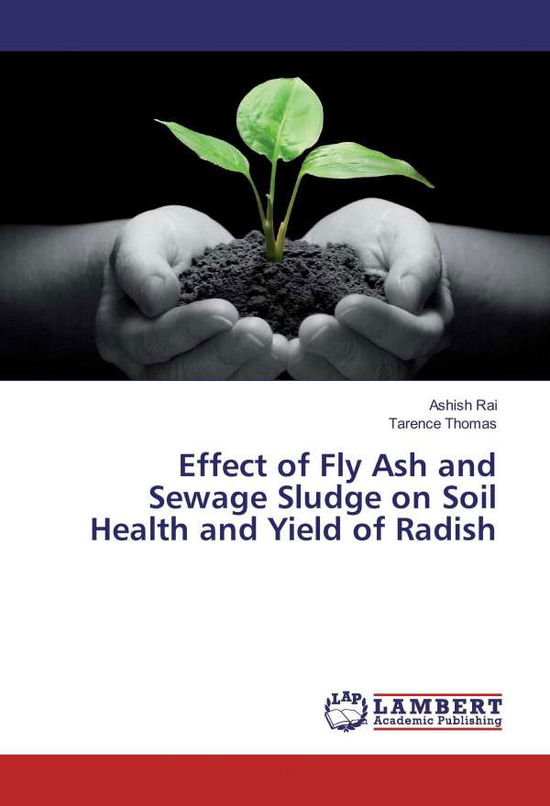 Effect of Fly Ash and Sewage Sludge - Rai - Books -  - 9783330348264 - 