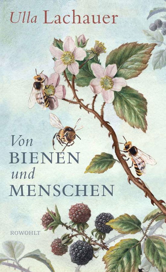 Cover for Lachauer · Von Bienen und Menschen (Book)