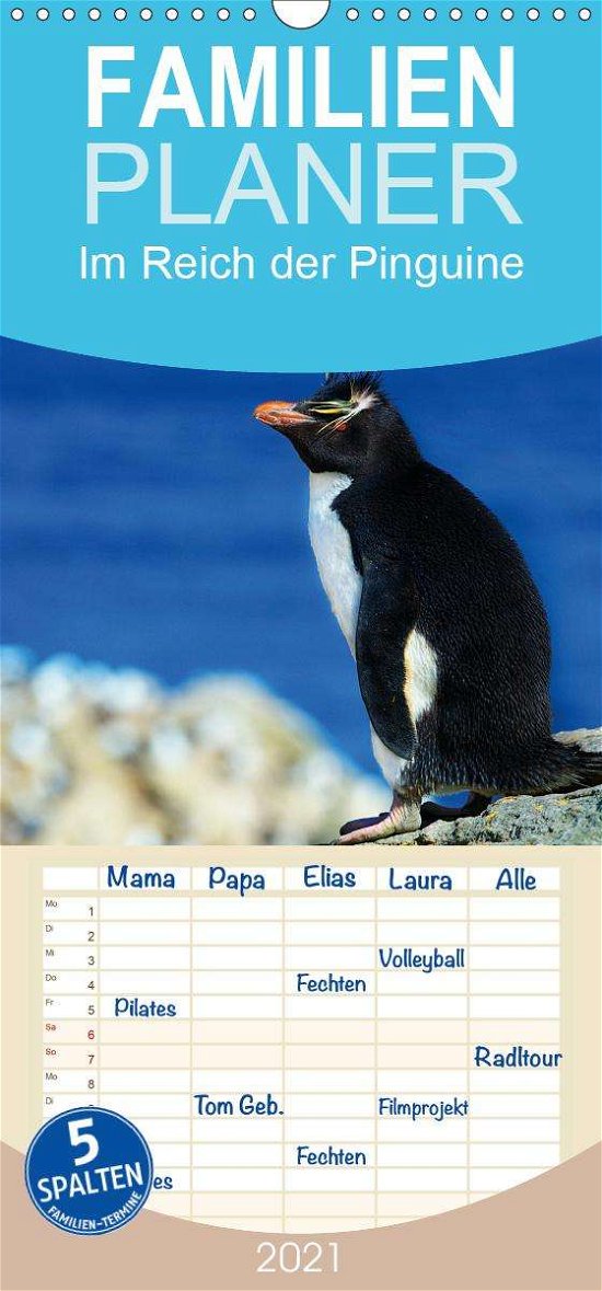Cover for Pfaff · Im Reich der Pinguine - Familienp (Bok)