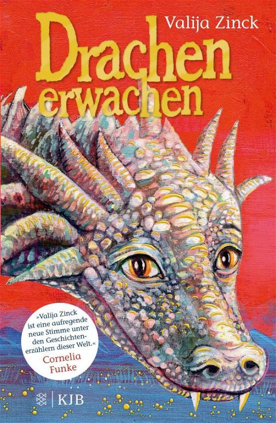 Cover for Zinck · Drachenerwachen (Buch)