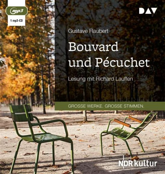 Cover for Gustave Flaubert · Bouvard und Pécuchet (CD)