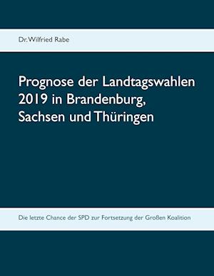 Cover for Rabe · Prognose der Landtagswahlen 2019 i (Buch)