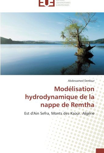 Cover for Abdessamed Derdour · Modélisation Hydrodynamique De La Nappe De Remtha: Est D'ain Sefra, Monts Des Ksour. Algérie (Paperback Book) [French edition] (2018)
