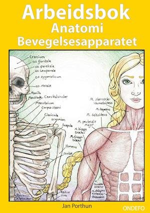 Arbeidsbok Anatomi Bevegelsesapparatet - Jan Porthun - Bøker - Ondefo-Forlag - 9788281900264 - 6. august 2020