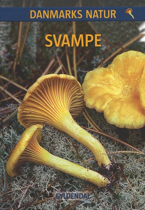 Cover for Torben Gang Rasmussen · Danmarks Natur: DANMARKS NATUR Svampe (Hæftet bog) [1. udgave] (2010)