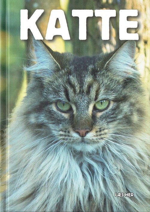 Cover for Ole Steen Hansen · Læs her: Læs her: Katte (Bound Book) [1. Painos] (2017)