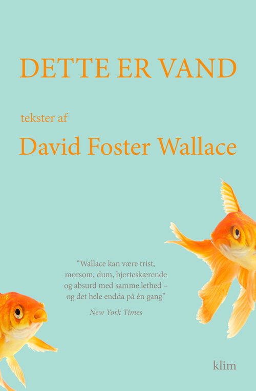 Cover for David Foster Wallace · Dette er vand (Hæftet bog) [1. udgave] (2014)