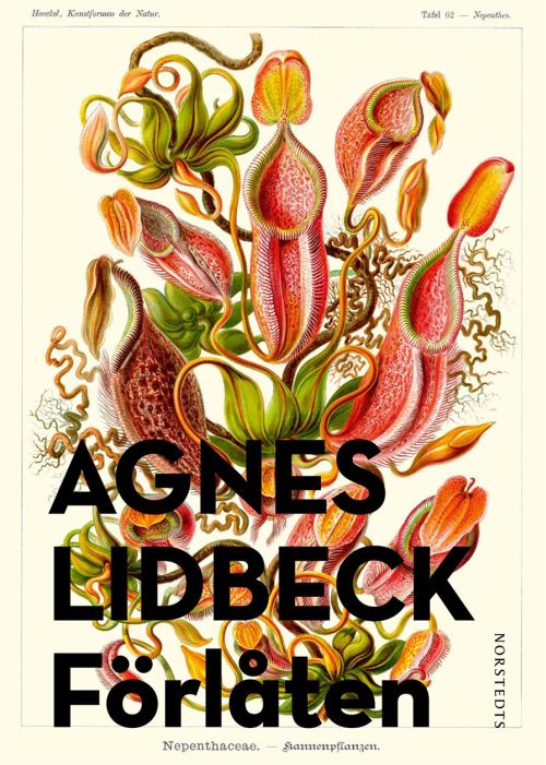 Cover for Agnes Lidbeck · Förlåten (Buch) (2018)