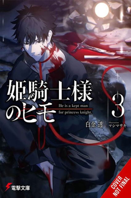 Cover for Toru Shirogane · The Kept Man of the Princess Knight, Vol. 3 - KEPT MAN OF PRINCESS KNIGHT LIGHT NOVEL SC (Paperback Book) (2024)