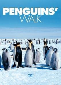 Penguins Walk (DVD) (2006)
