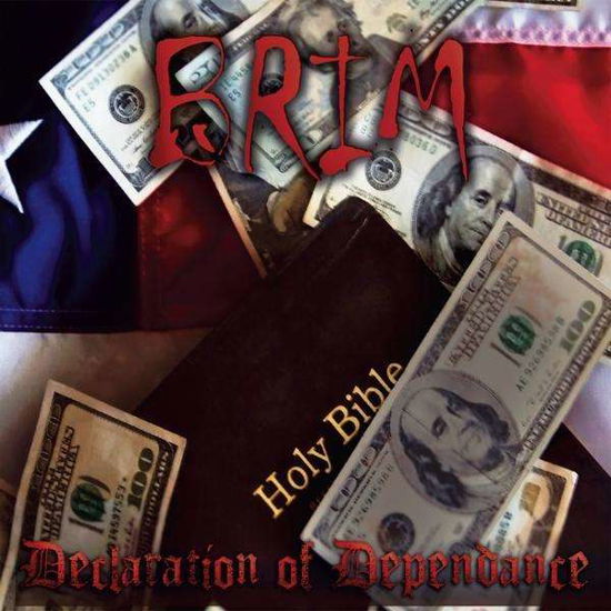 Cover for Brim · Declaration of Dependance (CD) (2010)