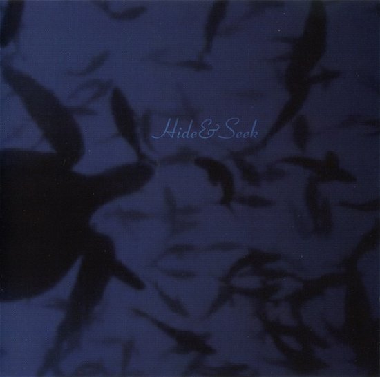 Cover for Hide &amp; Seek · Where Turtles Sleep (CD) (2007)