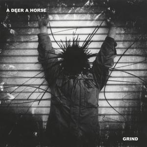 Cover for A Deer A Horse · Grind (LP) [Clear Vinyl edition] (2023)