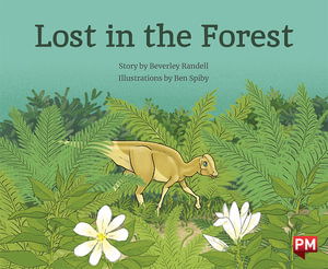 Cover for Beverley Randell · Lost in the Forest (Paperback Book)