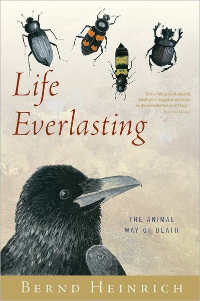 Cover for Bernd Heinrich · Life Everlasting: The Animal Way of Death (Paperback Bog) [Reprint edition] (2013)
