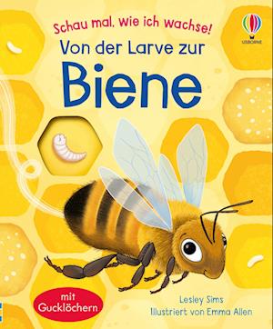 Cover for Schau mal, wie ich wachse! Von der Larve zur Biene (Buch) (2025)