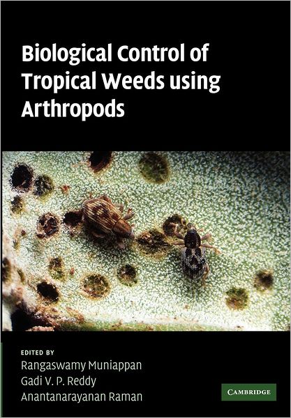 Cover for Rangaswamy Muniappan · Biological Control of Tropical Weeds Using Arthropods (Taschenbuch) (2012)