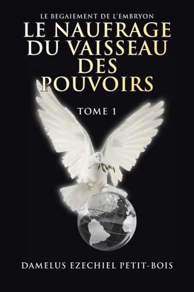 Cover for Damelus Ezechiel Petit-Bois · Le Naufrage Du Vaisseau Des Pouvoirs (Pocketbok) (2016)