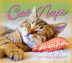 Cover for Sellers Publishing · Cat Naps - Boxeddaily 365 Day Combined (Paperback Book) (2022)