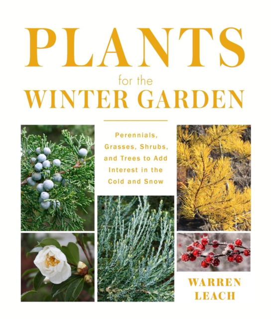 Warren Leach · Plants for the Winter Garden: Perennials, Grasses, Shrubs, and Trees to Add Interest in the Cold and Snow (Hardcover Book) (2024)