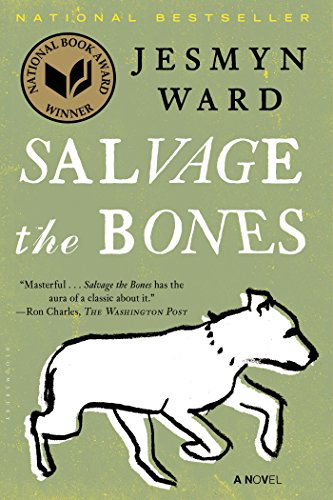 Cover for Jesmyn Ward · Salvage the Bones: a Novel (Paperback Bog) [Reprint edition] (2012)