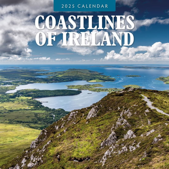 Cover for Red Robin · Coastlines of Ireland 2025 Square Wall Calendar (Paperback Bog) (2024)