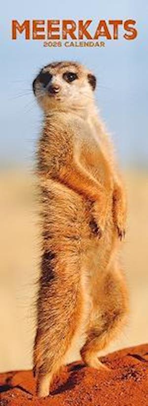 Cover for Meerkats  Slim Calendar 2026 Cute Slimline Calendar - 12 Month (Calendar) (2025)