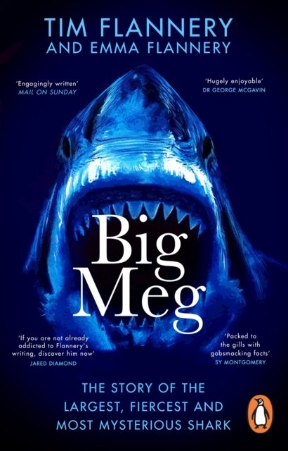 Big Meg: The Story of the Largest, Fiercest and Most Mysterious Shark - Tim Flannery - Books - Transworld Publishers Ltd - 9781804992265 - July 4, 2024