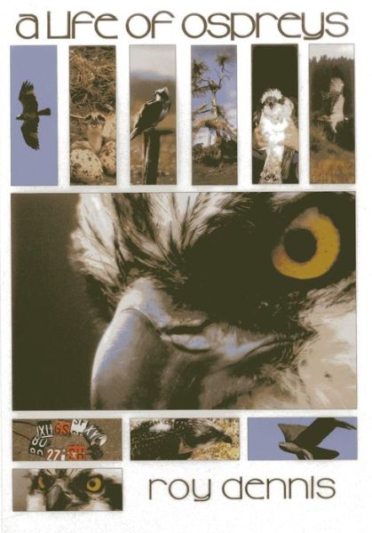 Cover for Roy Dennis · A Life of Ospreys (Paperback Book) (2008)