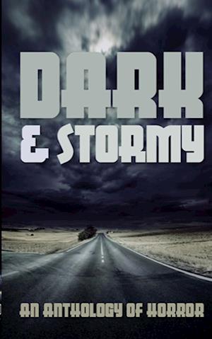 Cover for Elsa Pair · Dark &amp; Stormy (Book) (2023)
