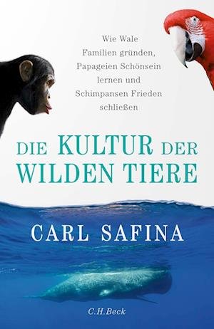 Cover for Carl Safina · Die Kultur der wilden Tiere (Innbunden bok) (2022)