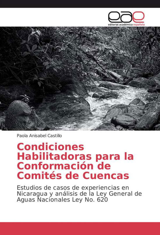 Cover for Castillo · Condiciones Habilitadoras para (Book)