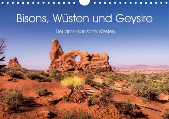 Cover for Knaack · Bisons, Wüsten und Geysire. Der (Bok)