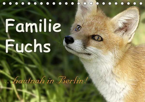 Cover for Brinker · Familie Fuchs hautnah in Berlin (Book)