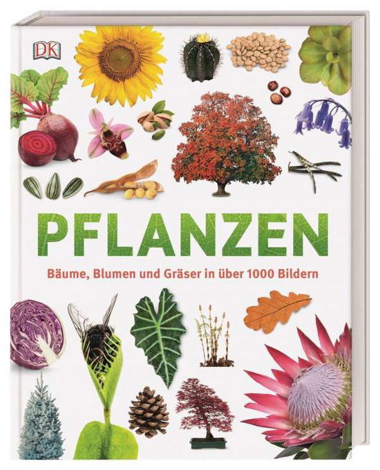 Pflanzen - Jose - Böcker -  - 9783831039265 - 