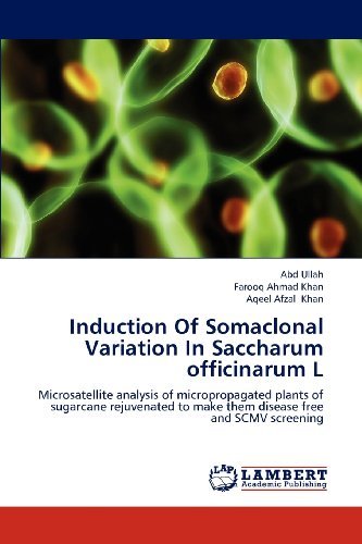 Cover for Aqeel Afzal Khan · Induction of Somaclonal Variation in Saccharum Officinarum L: Microsatellite Analysis of Micropropagated Plants of Sugarcane Rejuvenated to Make Them Disease Free and Scmv Screening (Paperback Bog) (2012)