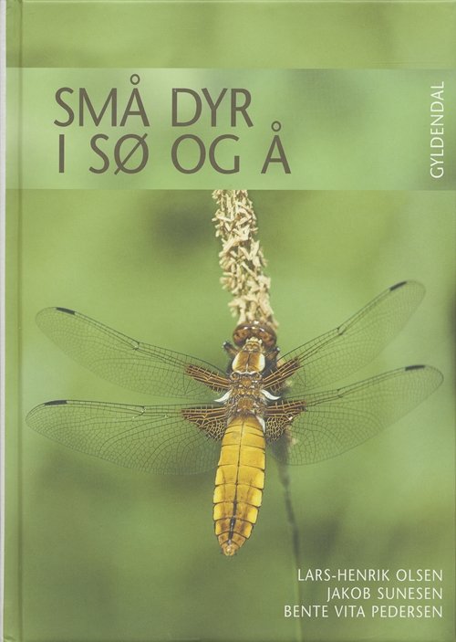 Små dyr i sø og å - Lars-Henrik Olsen - Bøger - Gyldendal - 9788702040265 - 15. juni 2005