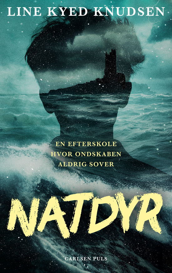 Cover for Line Kyed Knudsen · Natdyr (Bound Book) [1. wydanie] (2025)