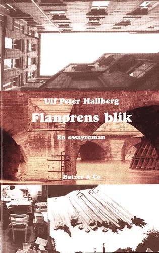Cover for Ulf Peter Hallberg · Flanørens blik (Hæftet bog) [1. udgave] (2000)