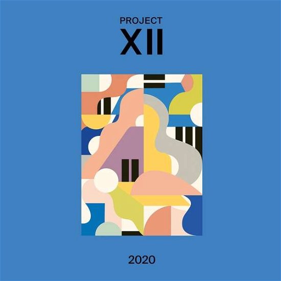 Cover for Xii 2020 / Various · Xii 2020 (LP) (2020)