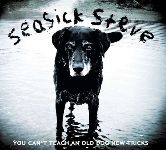 Cover for Seasick Steve · You CanT Teach An Old Dog New Tricks (LP) [Standard edition] (2017)