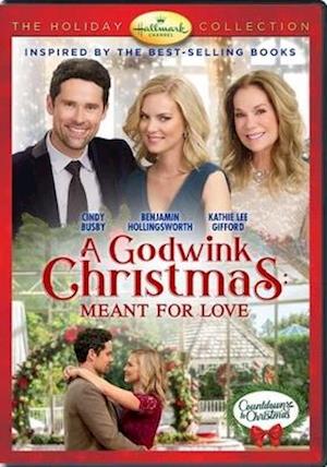 Cover for A DVD Godwink Christmas: Meant for Love · Godwink Christmas: Meant for Love, a DVD (DVD) (2020)