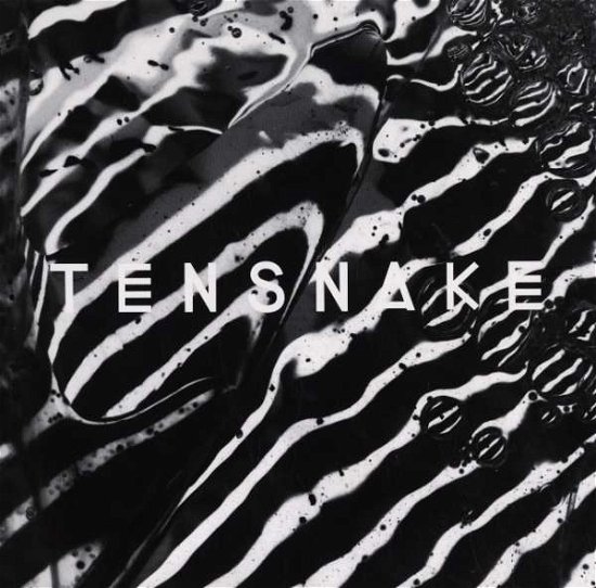 Cover for Tensnake · Keep On Walking (LP) (2015)