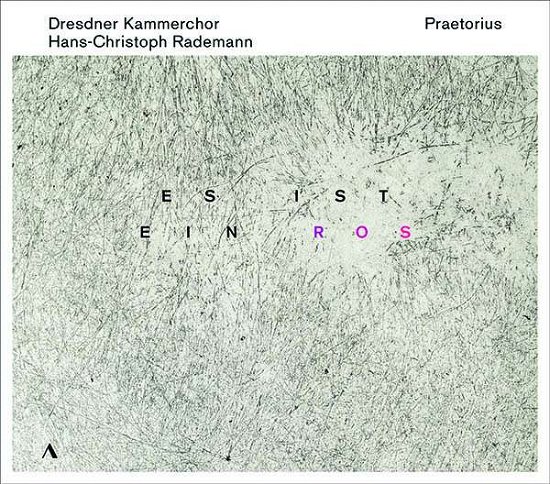Cover for Dresdner Kammerchor · Es Ist Ein Ros (CD) (2021)