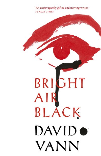 Cover for David Vann · Bright Air Black (Taschenbuch) (2017)