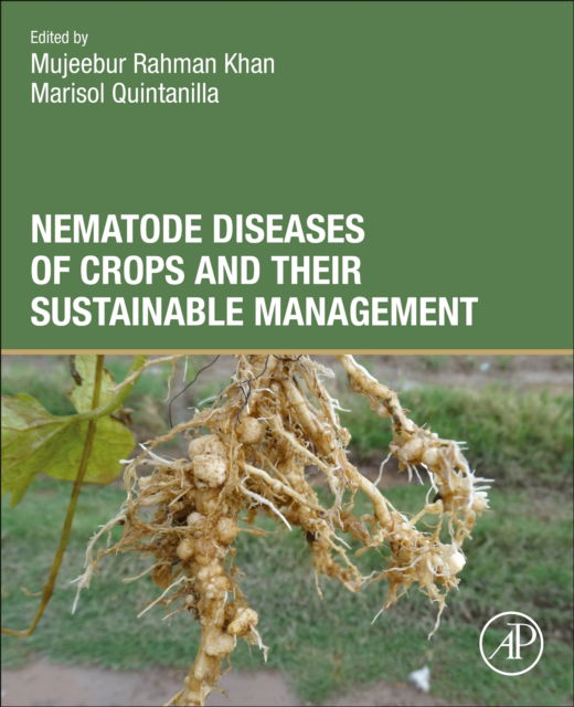 Cover for Mujeebur Rahman Khan · Nematode Diseases of Crops and Their Sustainable Management (Paperback Book) (2023)