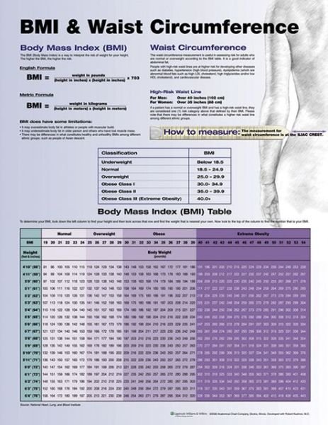 Cover for Acc · BMI and Waist Circumference (Landkarten) (2006)