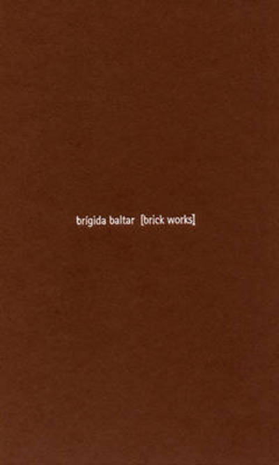 Cover for Guy Brett · Brigida Baltar: Brick Works (Hardcover Book) (2006)