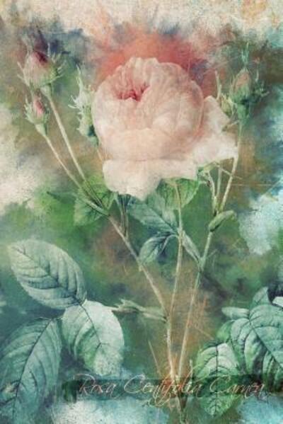 Cover for Coming Up Roses · Rosa Centifolia Carnea (Paperback Book) (2019)