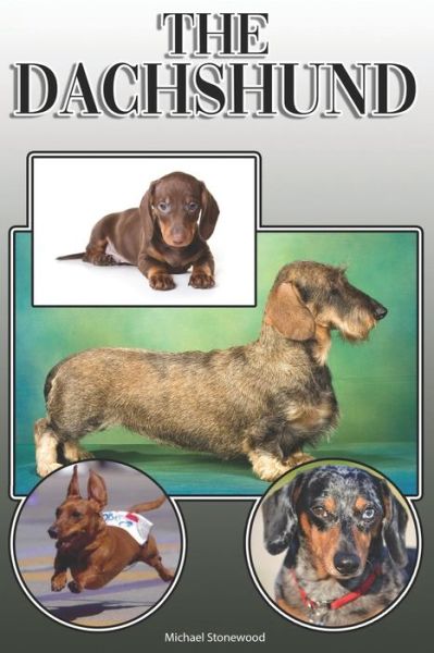 Cover for Michael Stonewood · The Dachshund (Paperback Book) (2019)